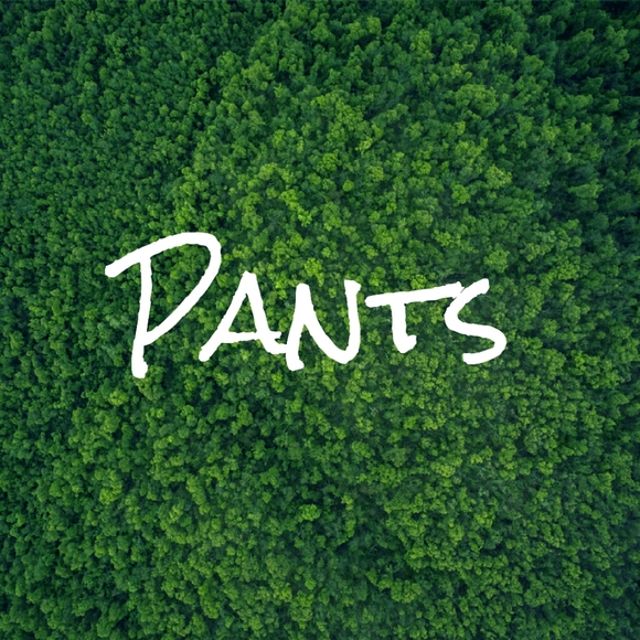 DLS Pants - Pants